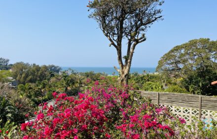 Bohemian Beach Loft ~ Salt Rock