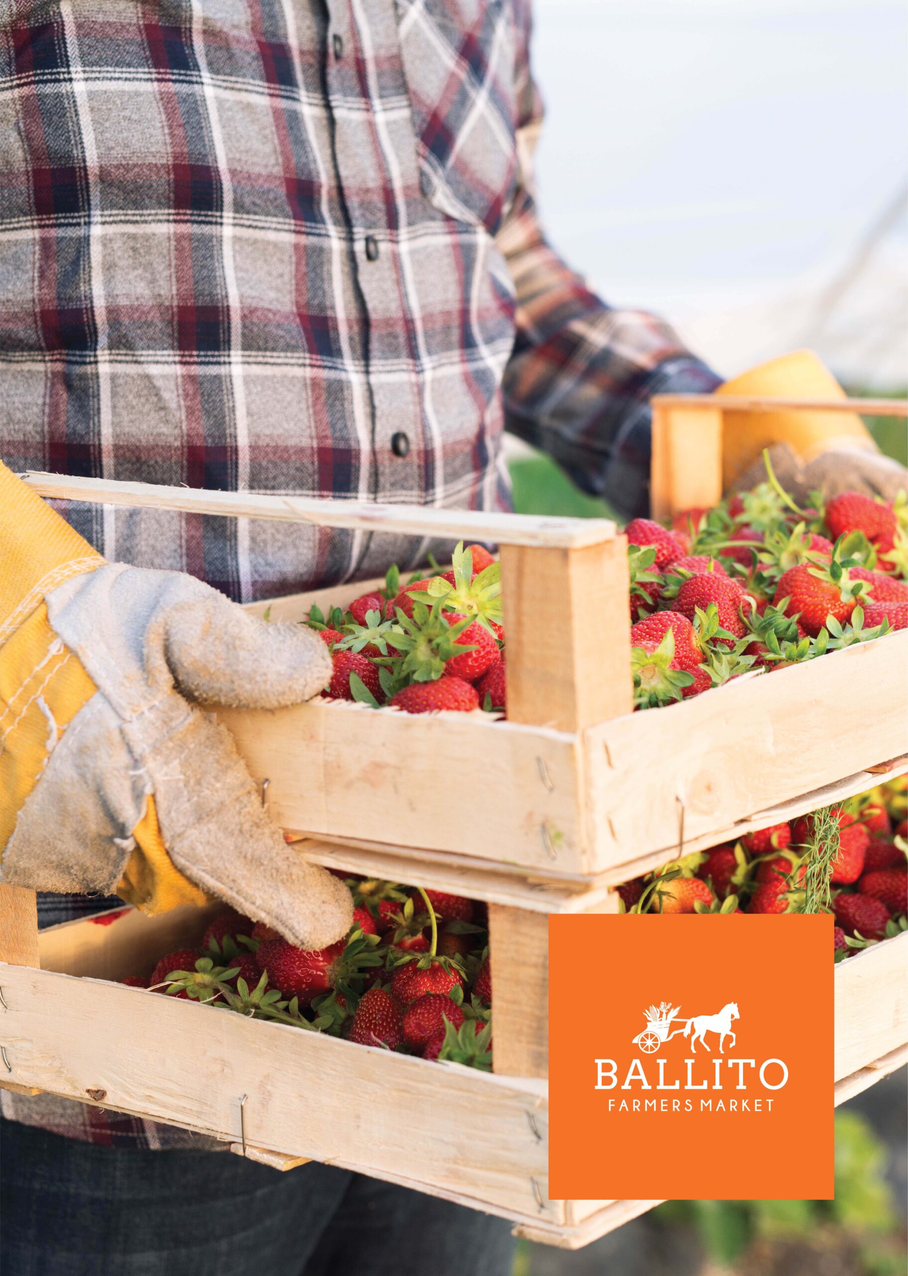 Ballito Farmers Market