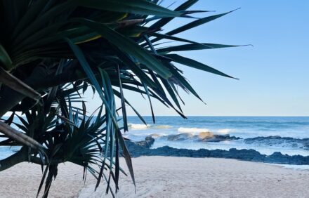 Christmas Bay: A Hidden Gem for Snorkelling and Diving
